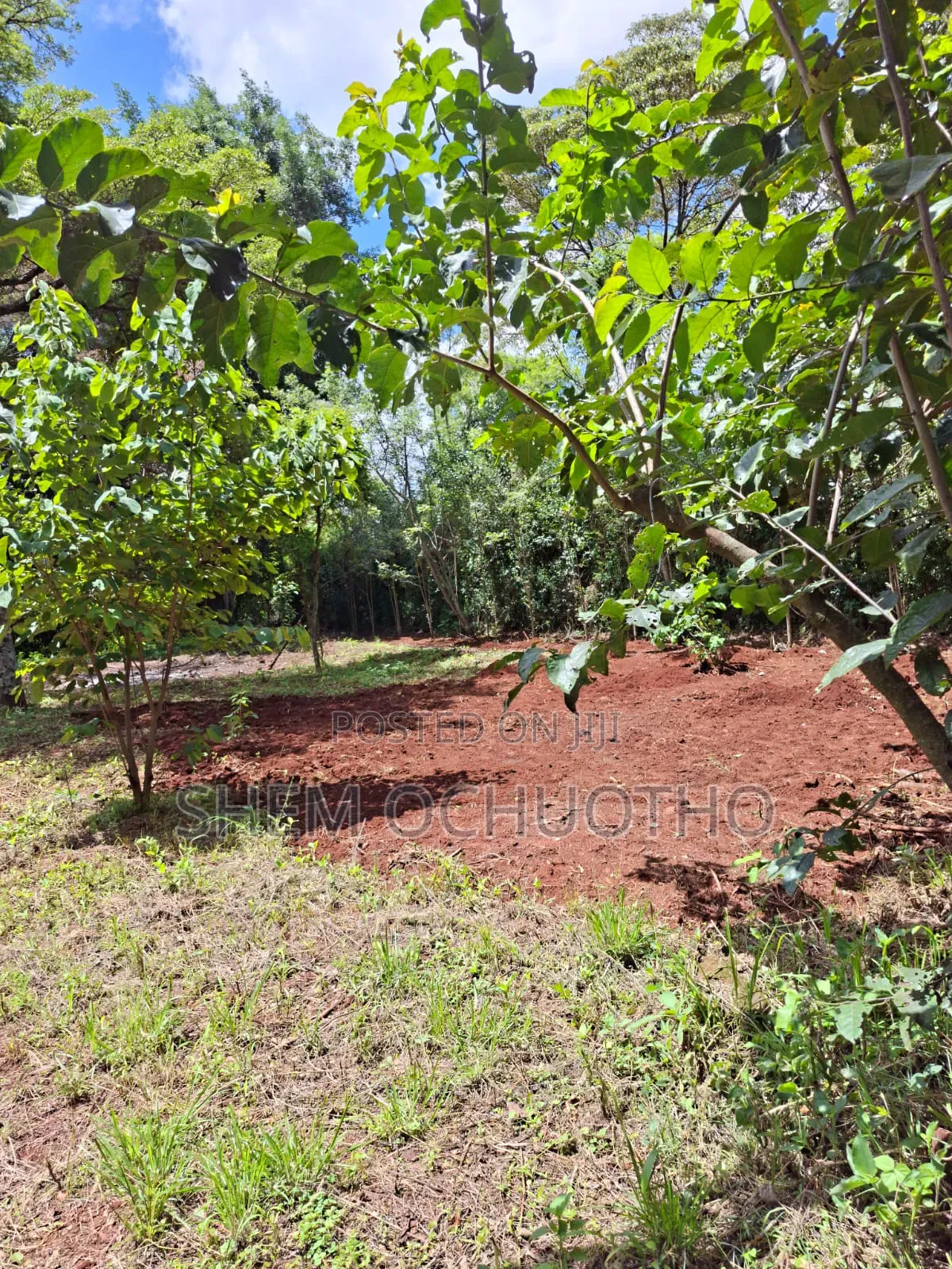 1 Acre on Sale in Karen in Hardy