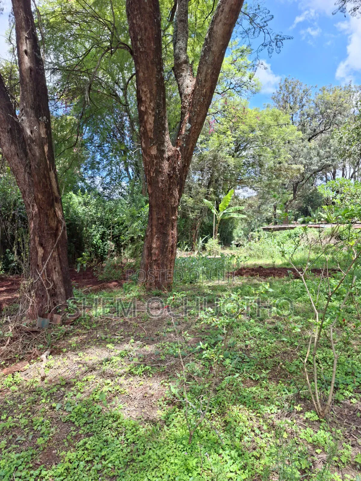 1 Acre on Sale in Karen in Hardy