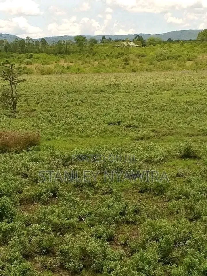 6 Acreas Nanyuki Mukima in Nanyuki