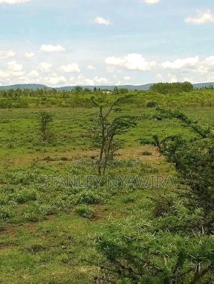 6 Acreas Nanyuki Mukima in Nanyuki