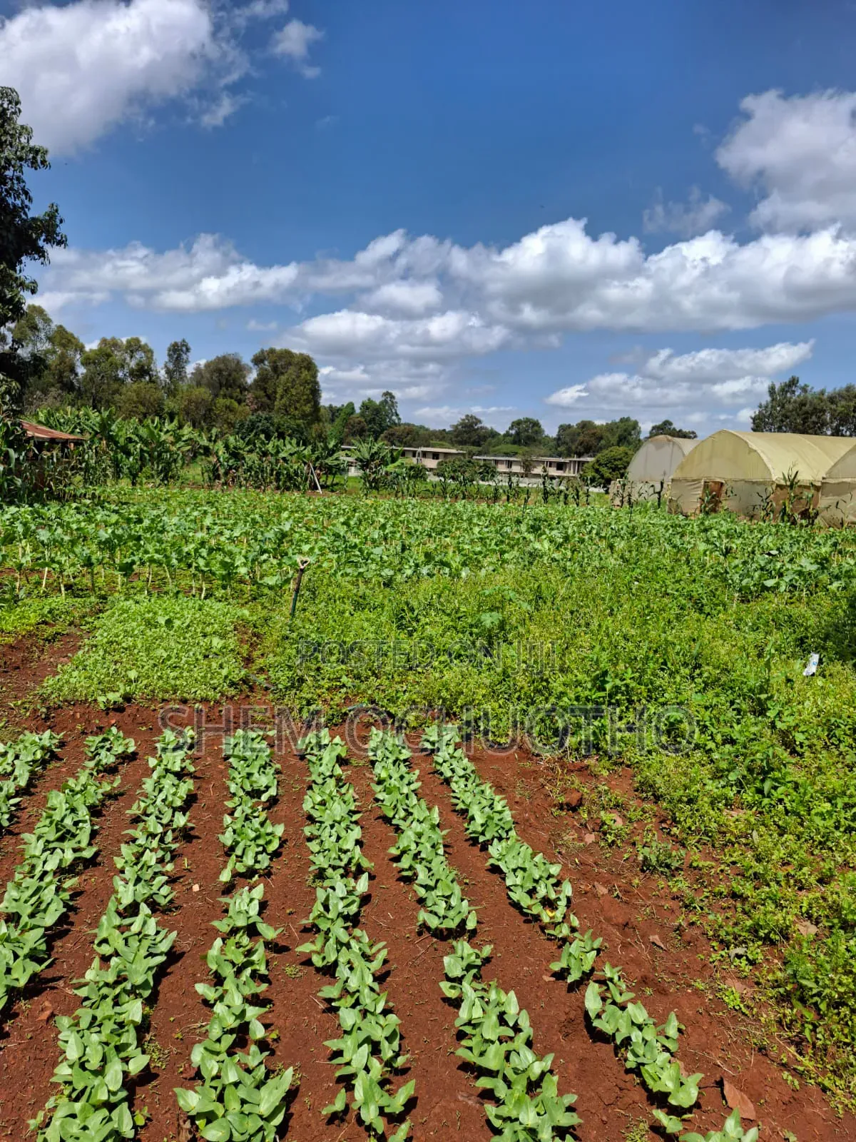1/2 Acres Plots on Sale in Karen in Karen C