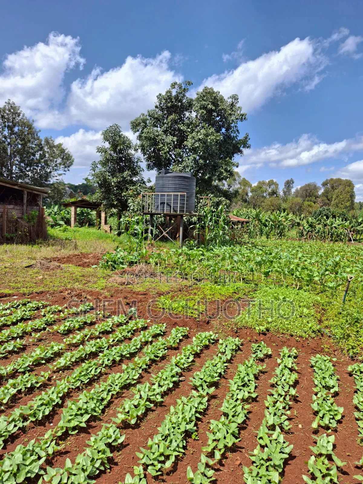 1/2 Acres Plots on Sale in Karen in Karen C