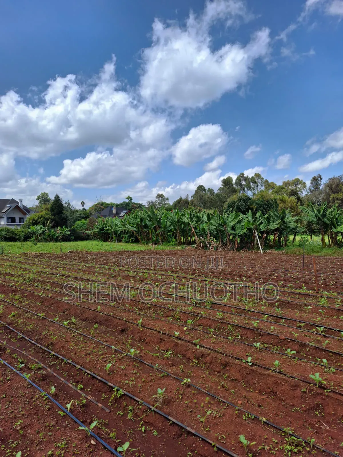 1/2 Acres Plots on Sale in Karen in Karen C