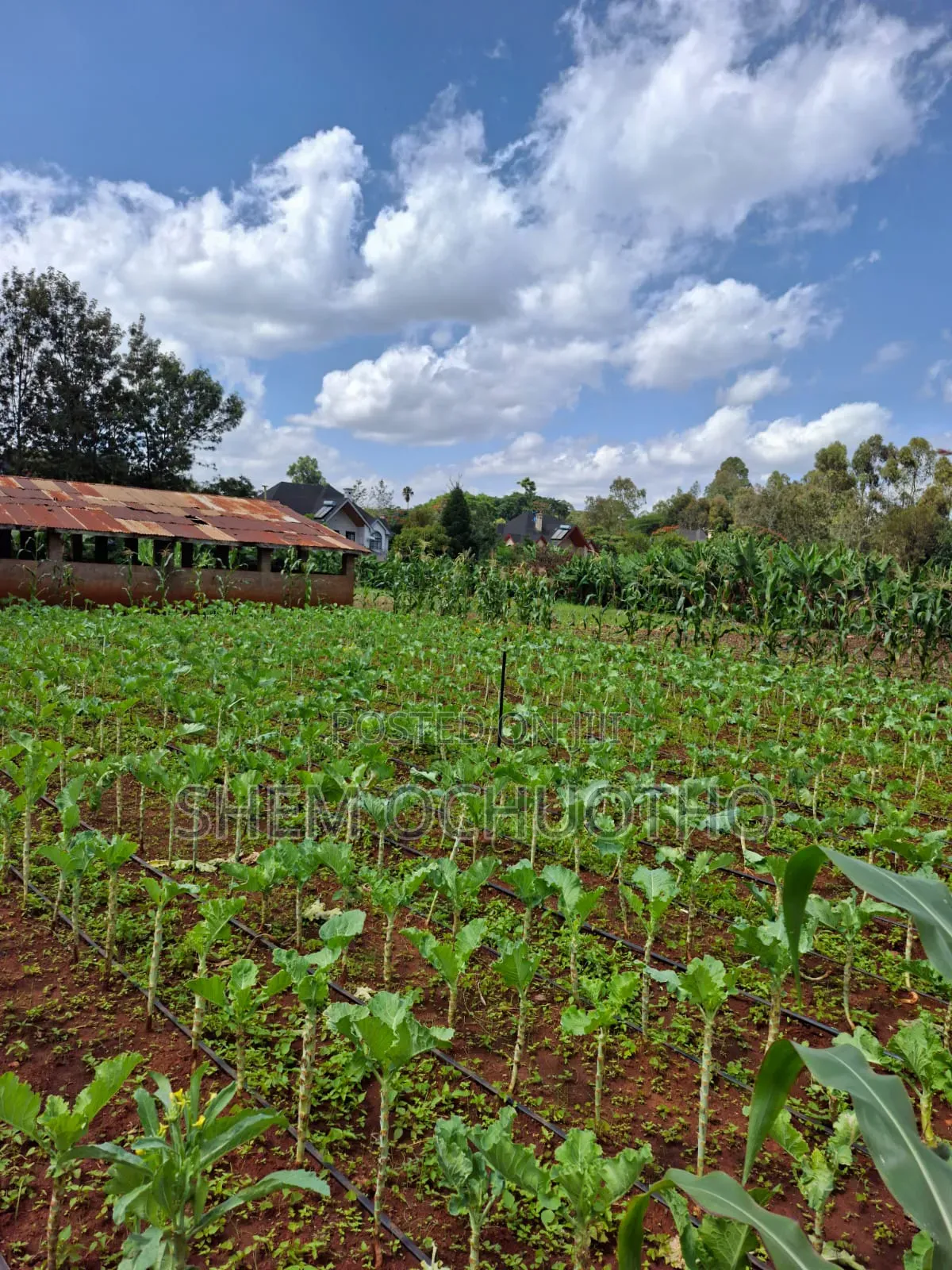 1/2 Acres Plots on Sale in Karen in Karen C