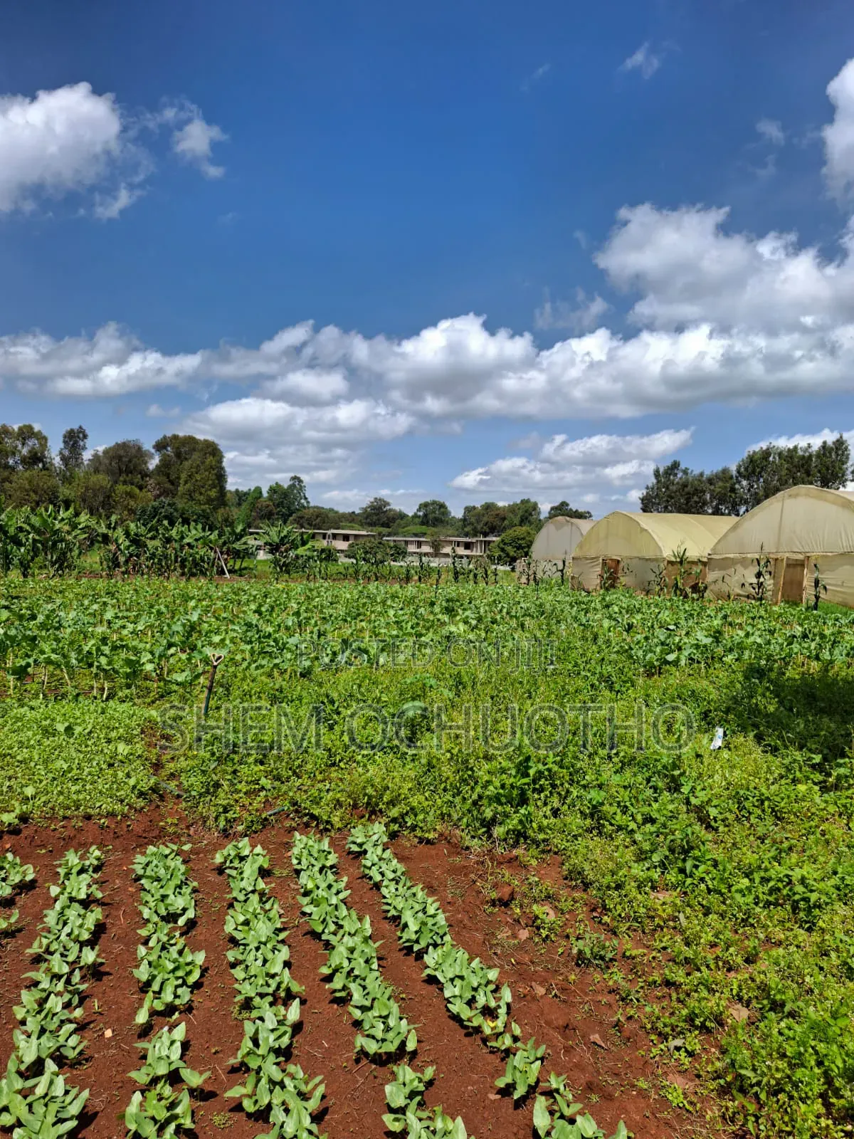 1/2 Acres Plots on Sale in Karen in Karen C