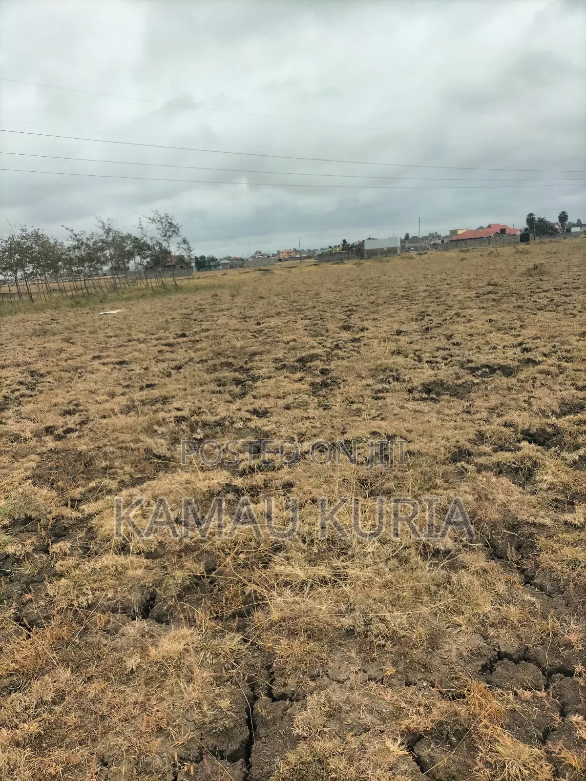 Plot Thika Salama Landless in Thika