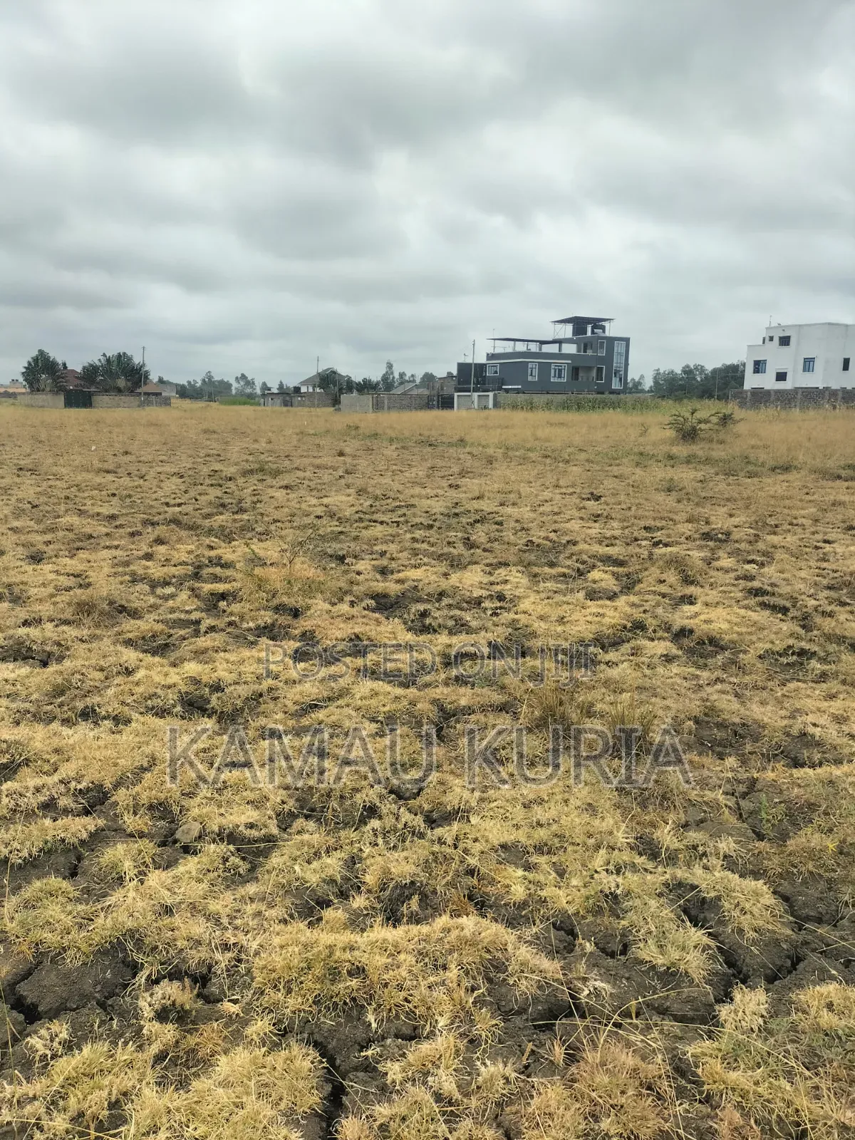 Plot Thika Salama Landless in Thika