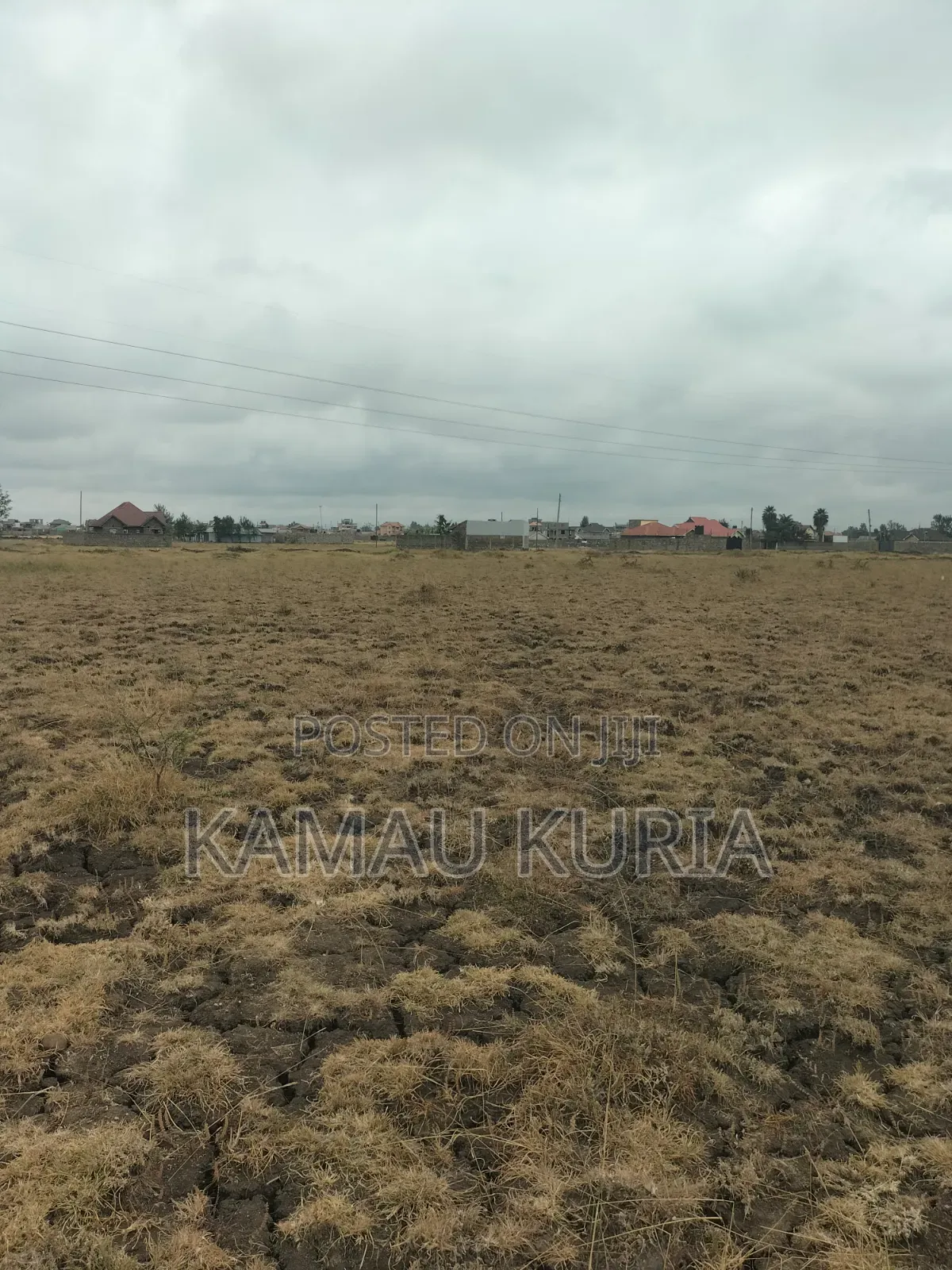 Plot Thika Salama Landless in Thika
