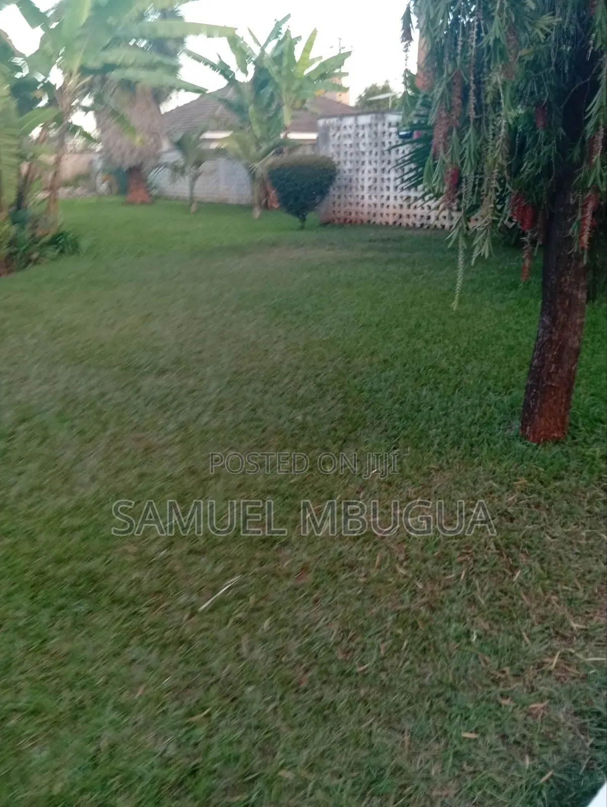 2bdrm House in Karen for rent in Karen
