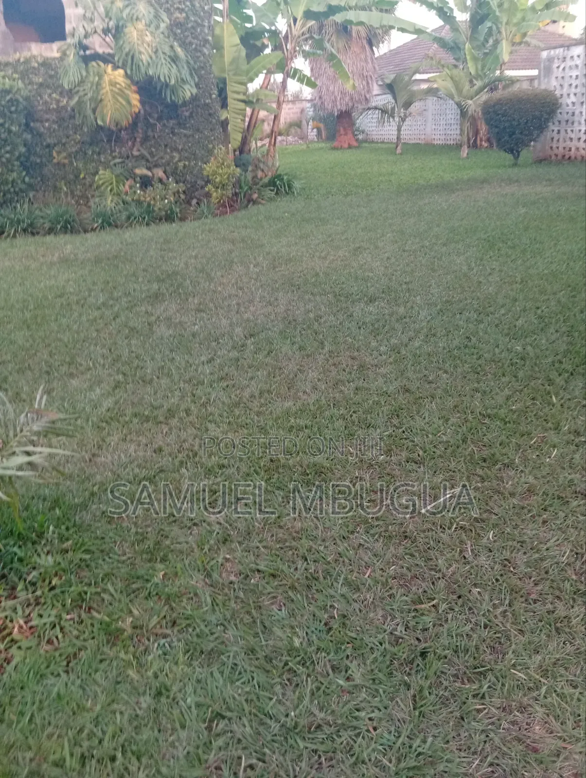 2bdrm House in Karen for rent in Karen
