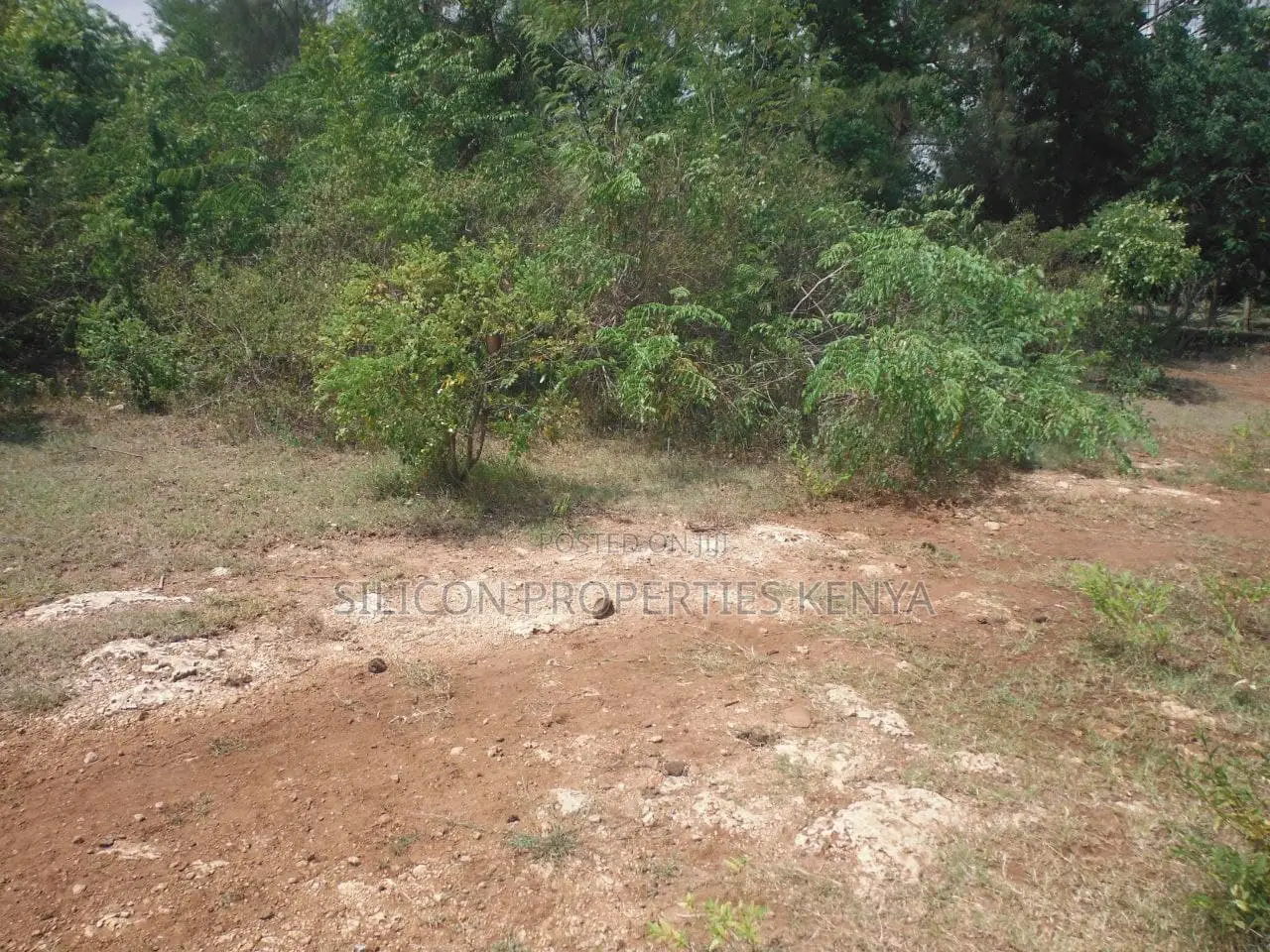 1 Acre for Sale in Msambweni - Just 2 Minutes From the Ocean! in Ukunda
