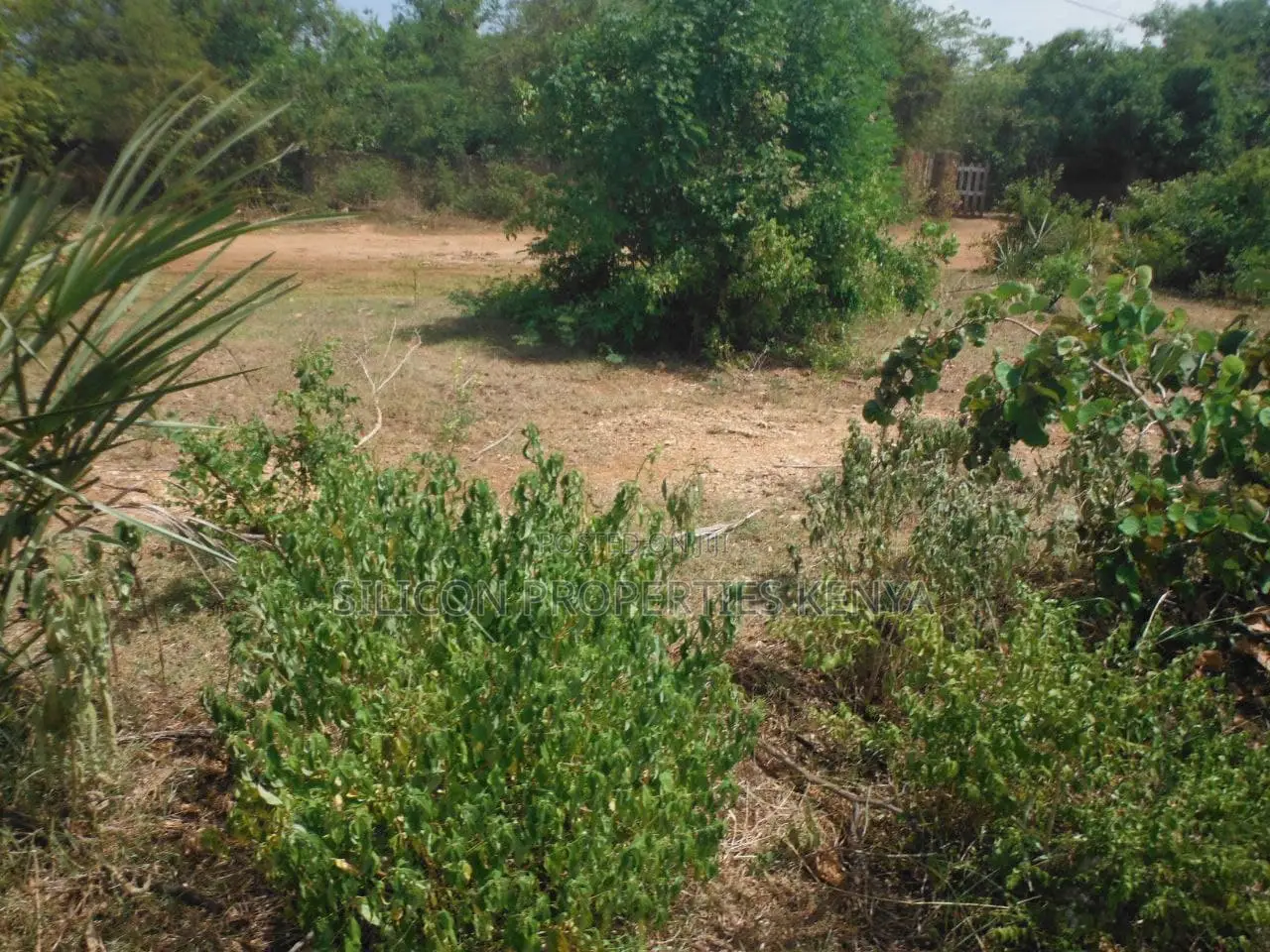 1 Acre for Sale in Msambweni - Just 2 Minutes From the Ocean! in Ukunda