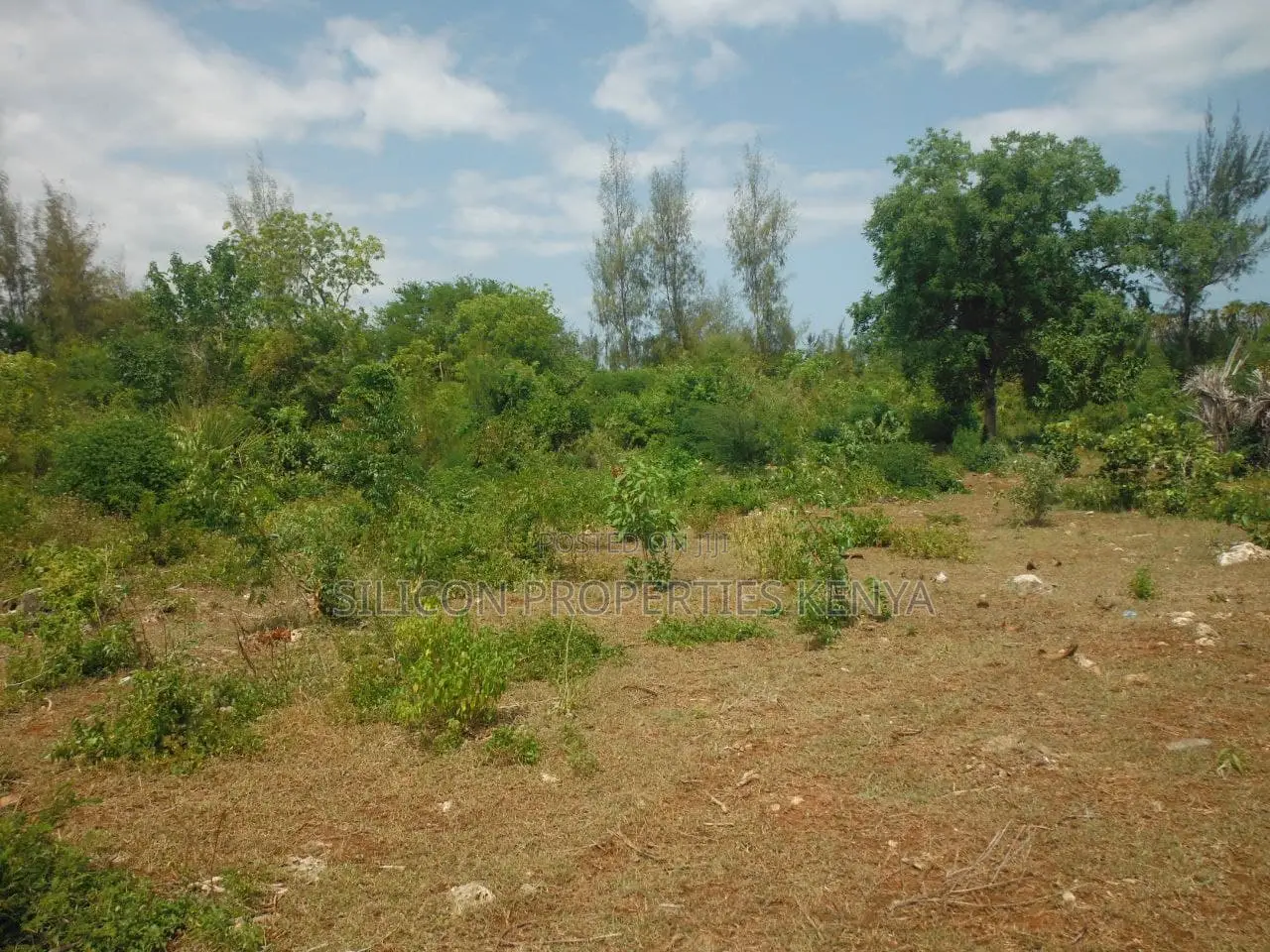 1 Acre for Sale in Msambweni - Just 2 Minutes From the Ocean! in Ukunda