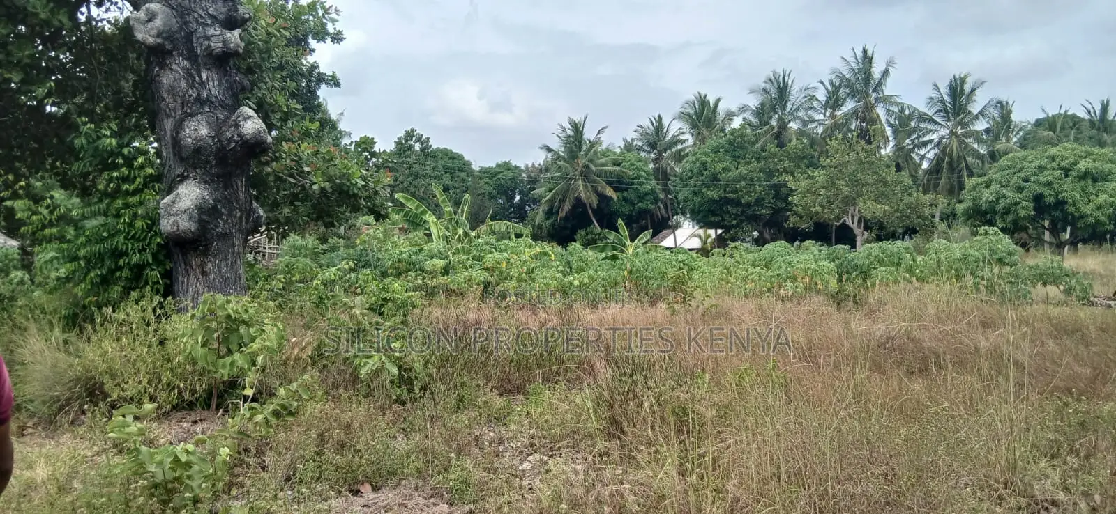Another 1 Acre for Sale in Matuga in Ukunda