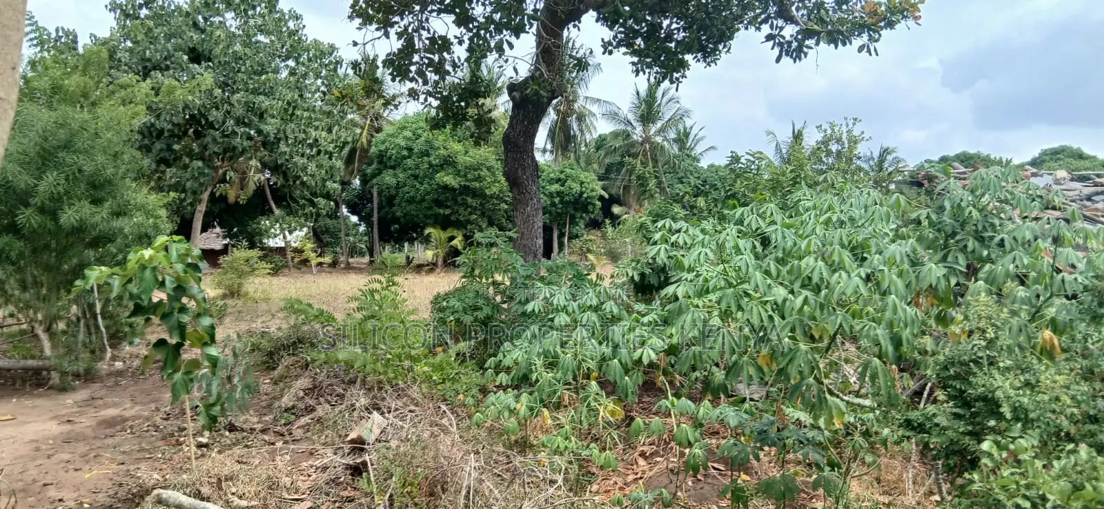 Another 1 Acre for Sale in Matuga in Ukunda