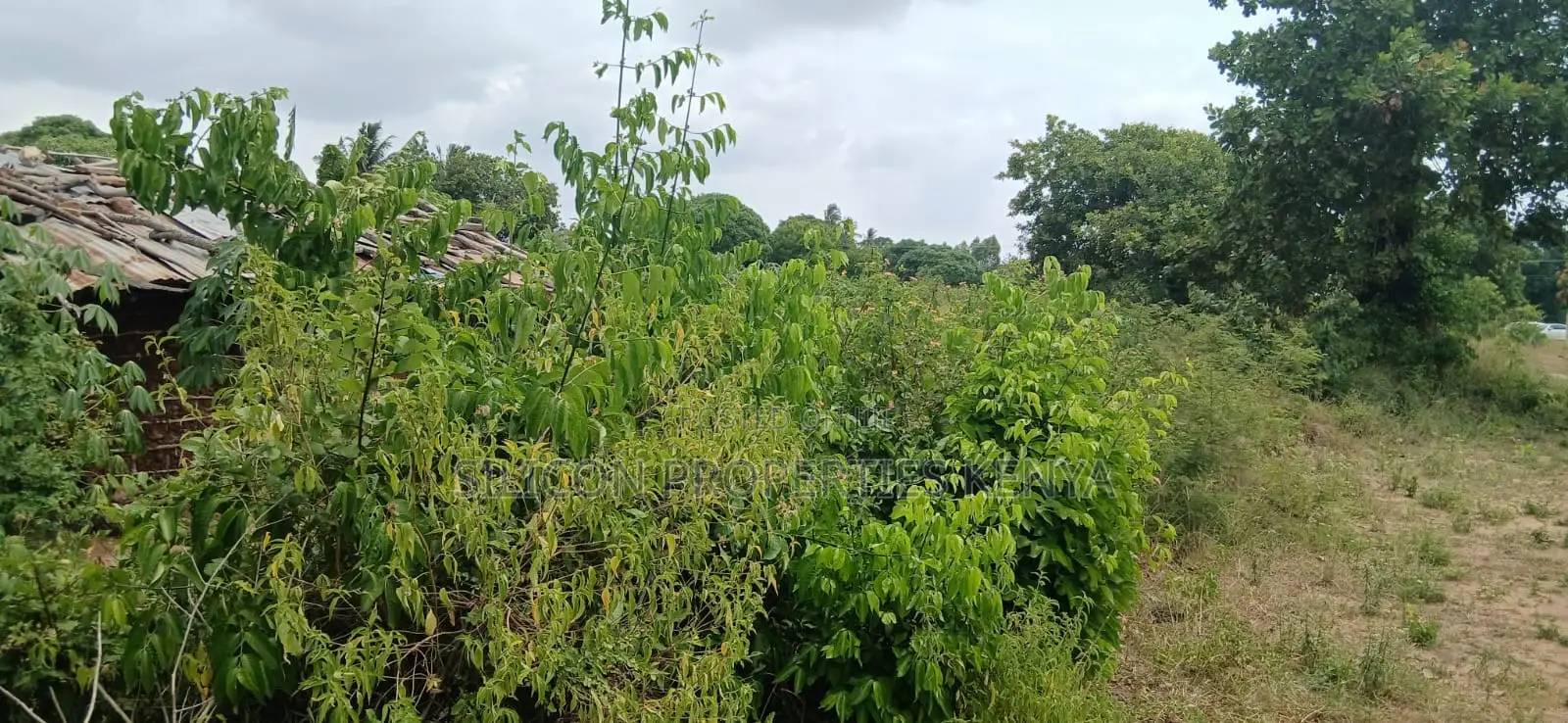 Another 1 Acre for Sale in Matuga in Ukunda