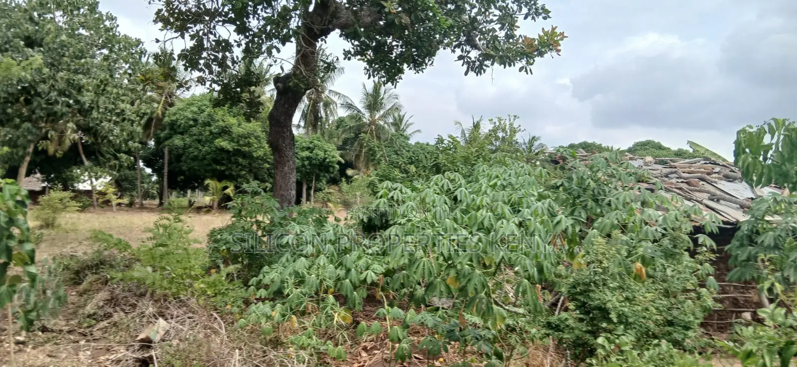 Another 1 Acre for Sale in Matuga in Ukunda