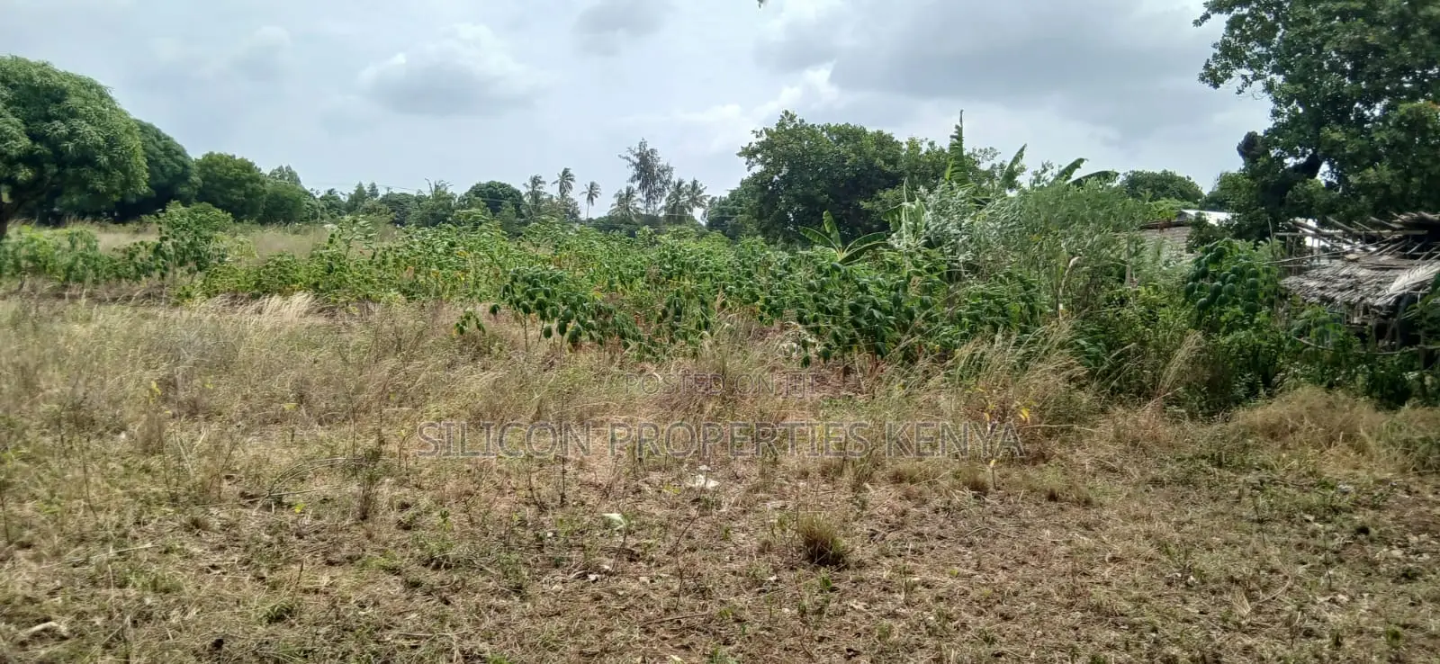 Another 1 Acre for Sale in Matuga in Ukunda