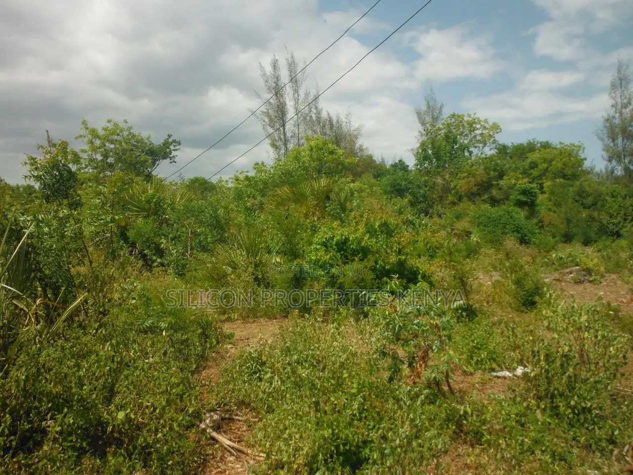 1 Acre for Sale in Msambweni in Ukunda