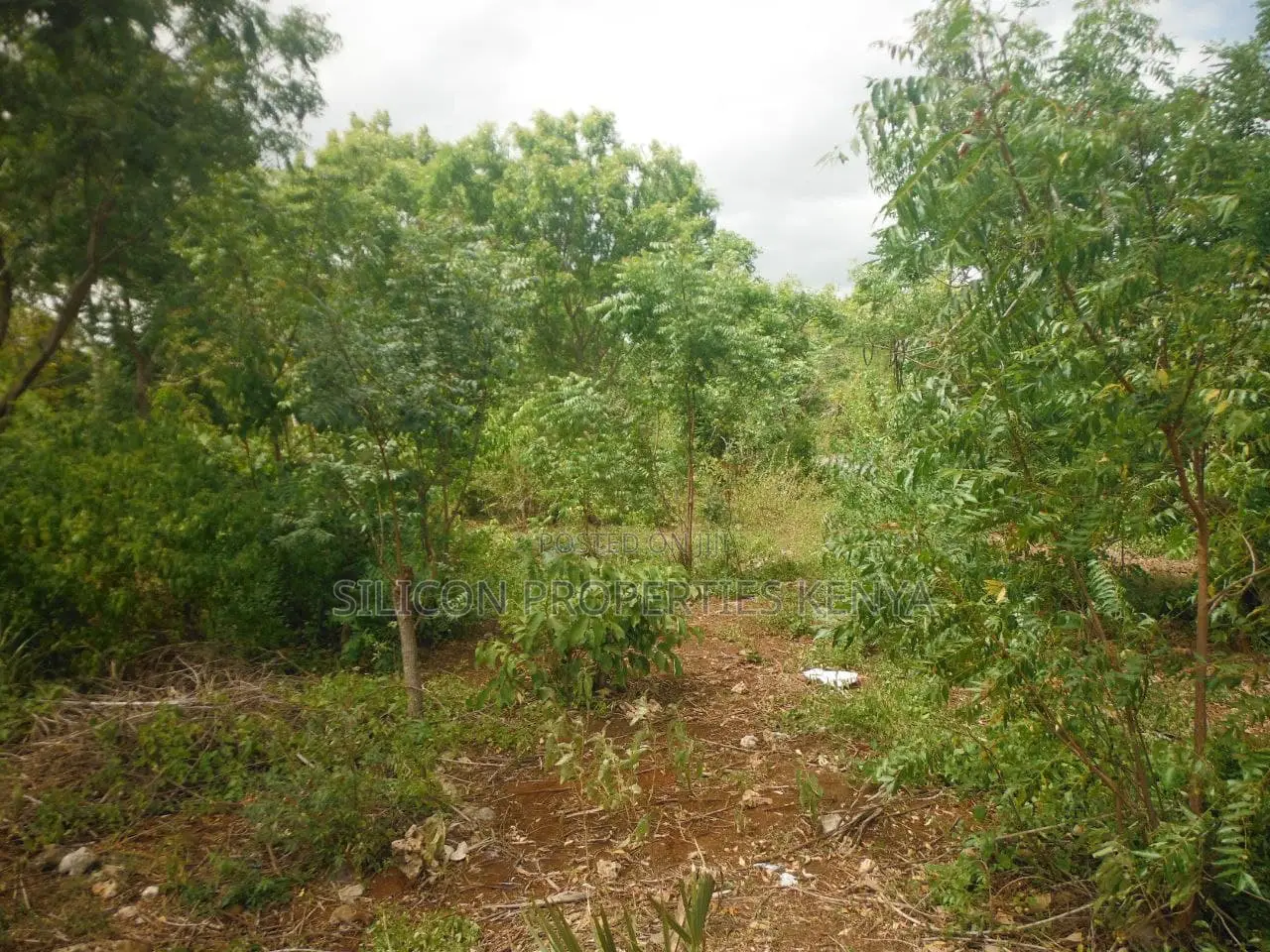 1 Acre for Sale in Msambweni in Ukunda