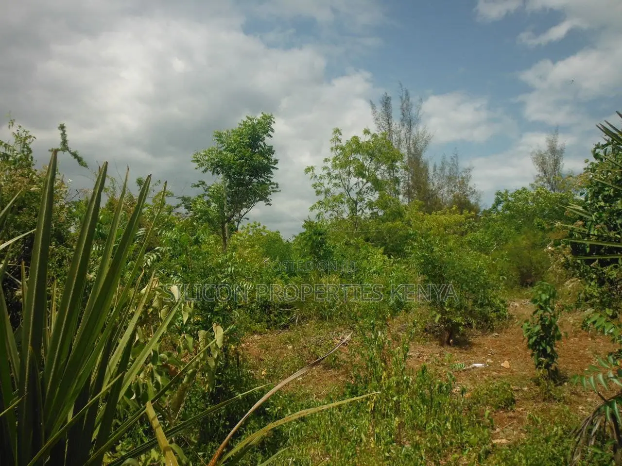 1 Acre for Sale in Msambweni in Ukunda