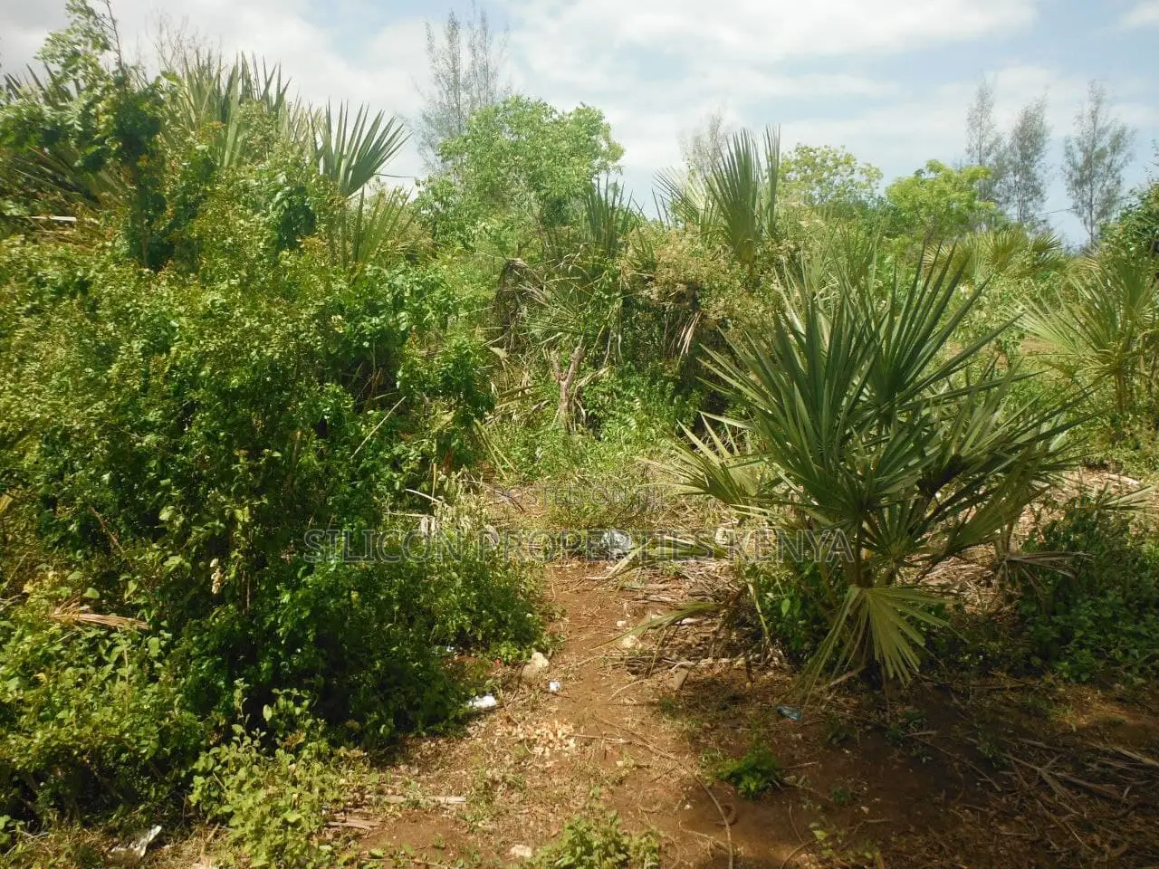 1 Acre for Sale in Msambweni in Ukunda