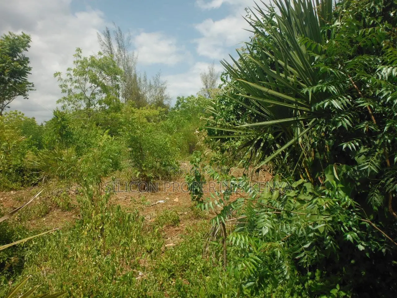 1 Acre for Sale in Msambweni in Ukunda