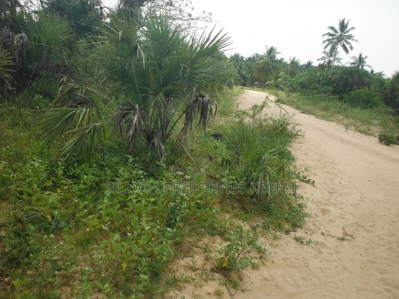 10 Acres for Sale in Ramisi in Ramisi