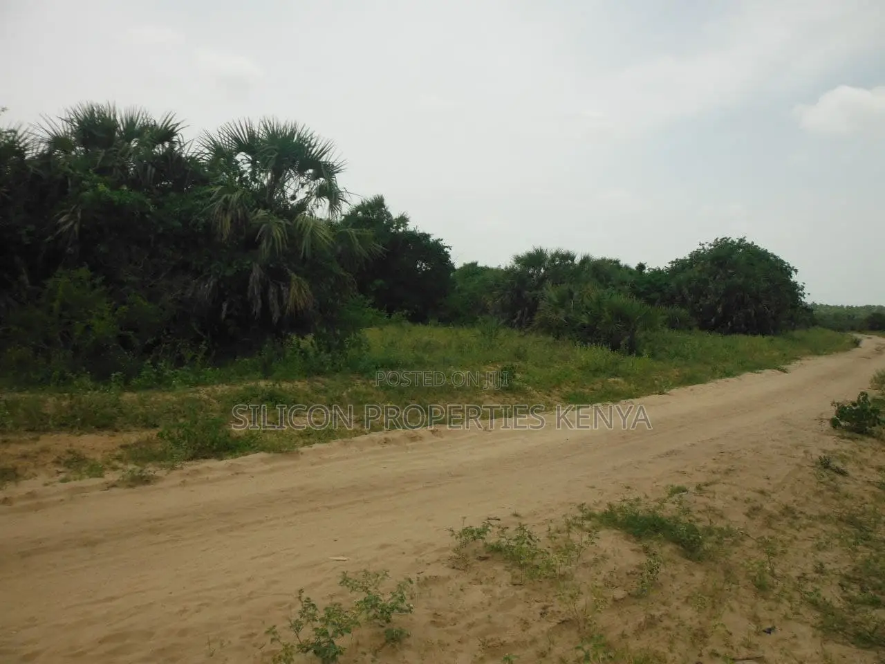 10 Acres for Sale in Ramisi in Ramisi