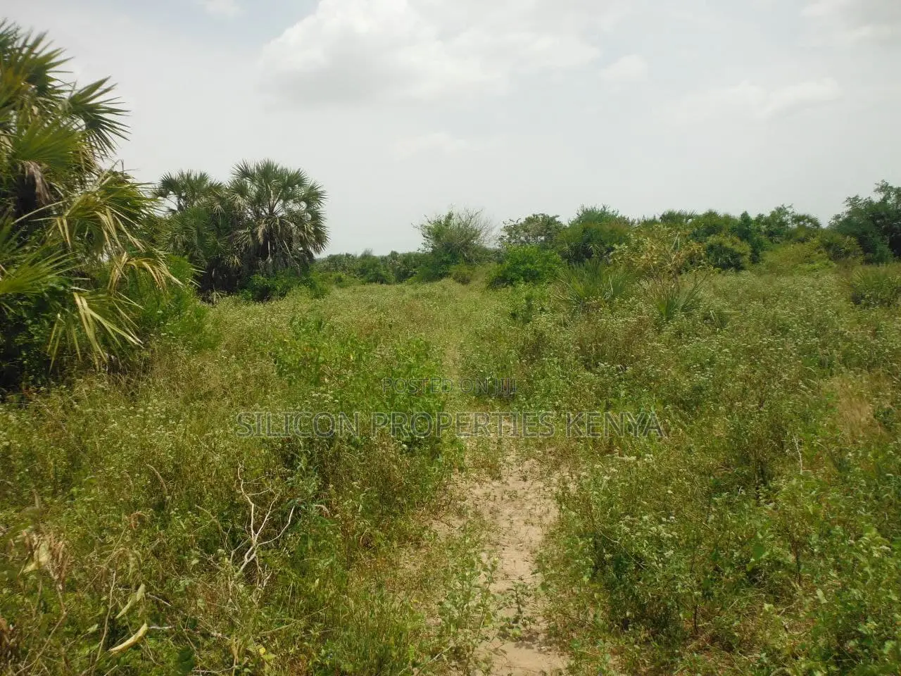 10 Acres for Sale in Ramisi in Ramisi
