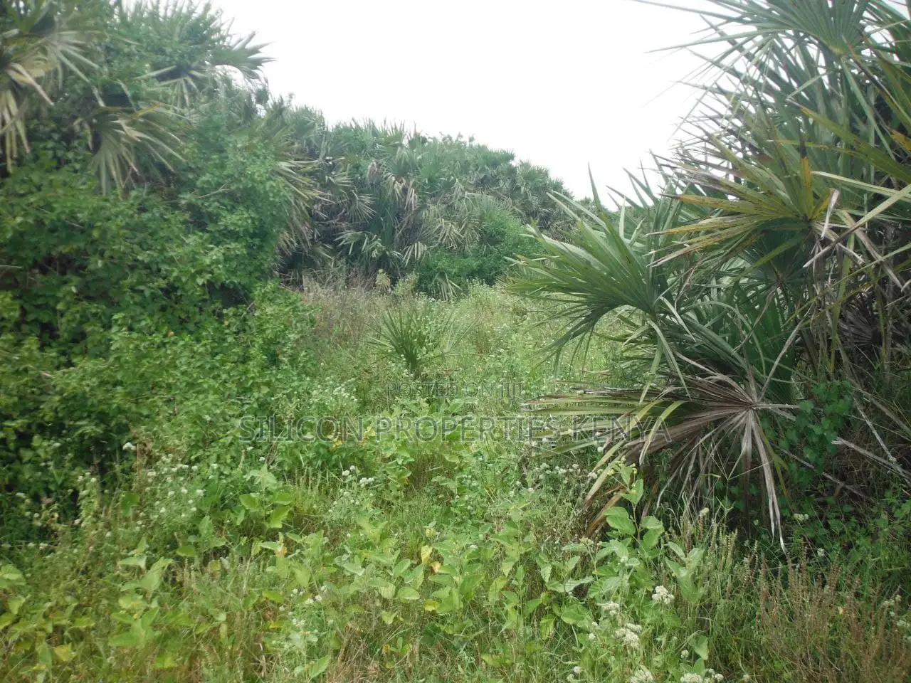 10 Acres for Sale in Ramisi in Ramisi