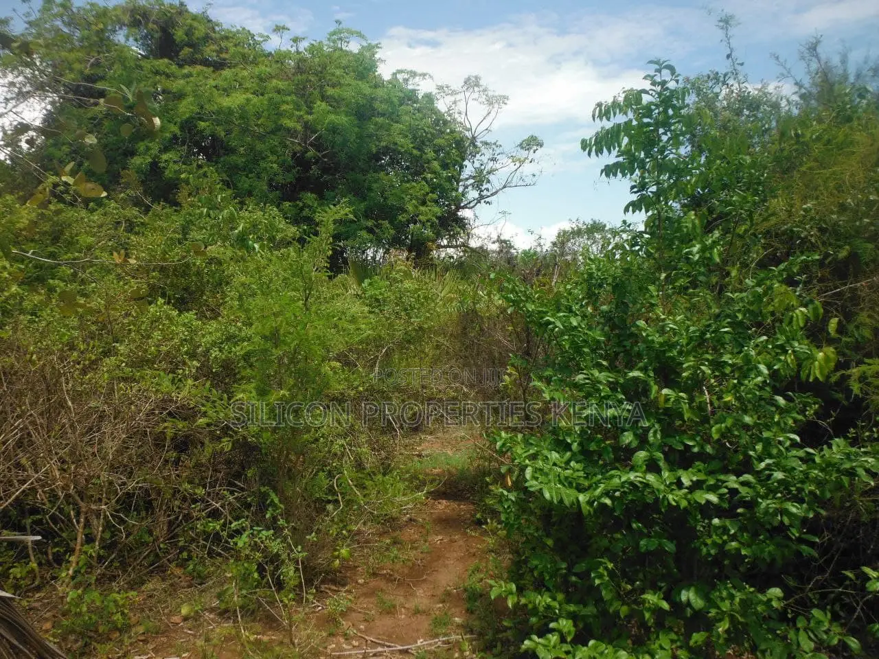 12 Acres for Sale in Msambweni in Ukunda