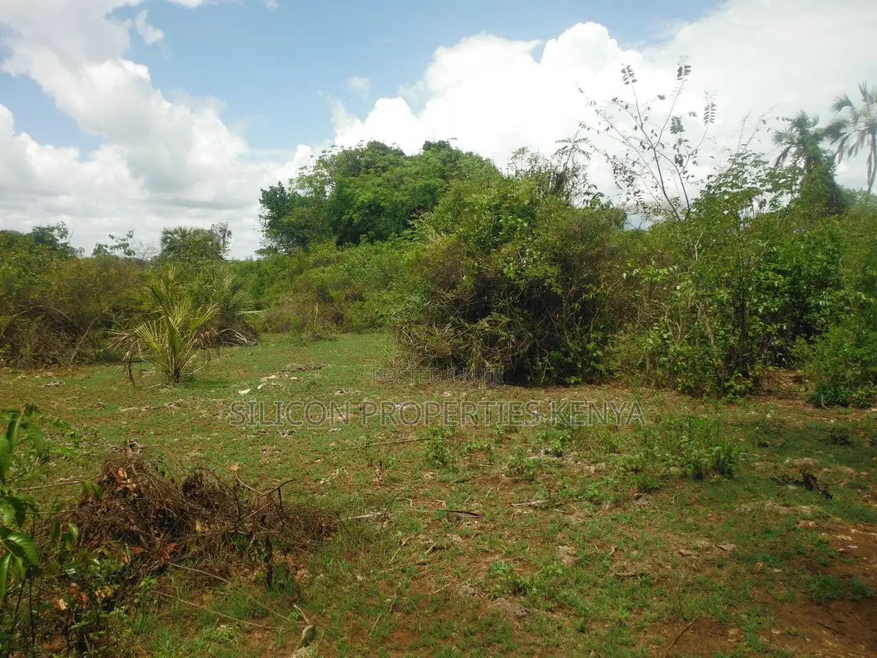 12 Acres for Sale in Msambweni in Ukunda
