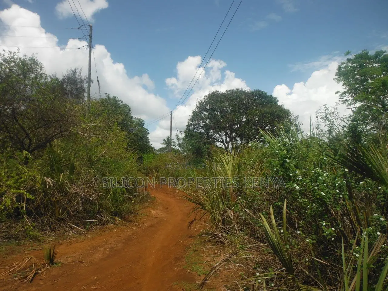 12 Acres for Sale in Msambweni in Ukunda