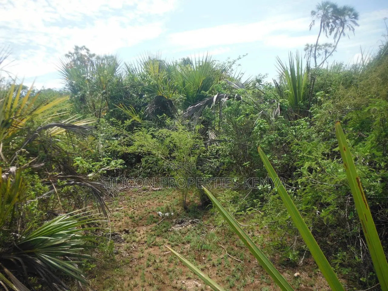 12 Acres for Sale in Msambweni in Ukunda