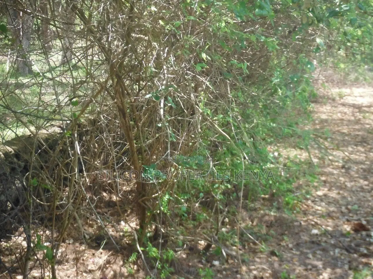 2-Acre Prime Plot in Ukunda Next to a High-Value Home in Ukunda