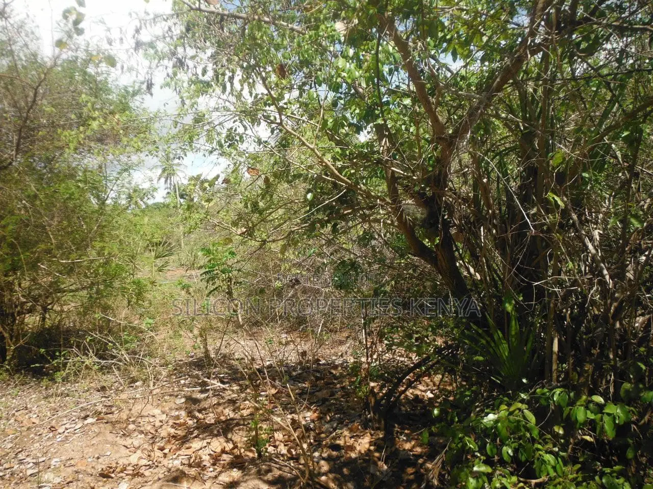 2-Acre Prime Plot in Ukunda Next to a High-Value Home in Ukunda