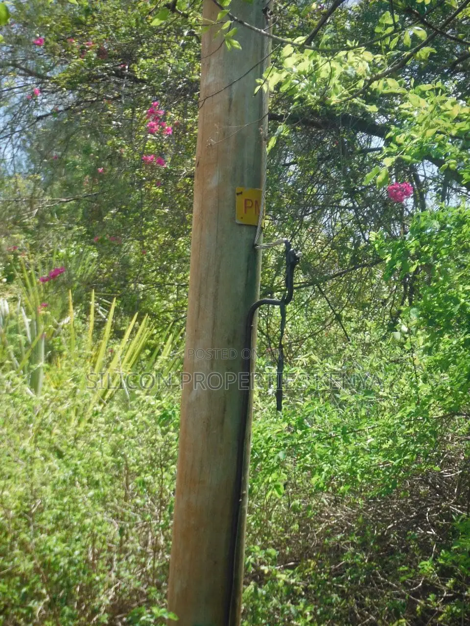 2-Acre Prime Plot in Ukunda Next to a High-Value Home in Ukunda