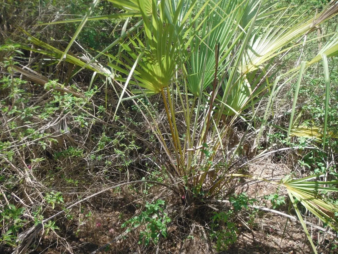 2-Acre Prime Plot in Ukunda Next to a High-Value Home in Ukunda