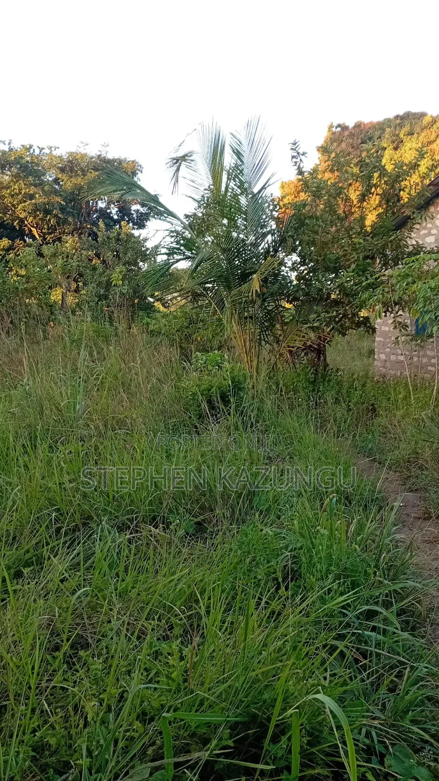 Nice 1/8 Acre Plot Only 1.3 Kilometre From the Lungalunga Highway Road in Ukunda