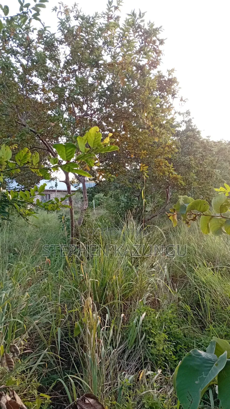 Nice 1/8 Acre Plot Only 1.3 Kilometre From the Lungalunga Highway Road in Ukunda