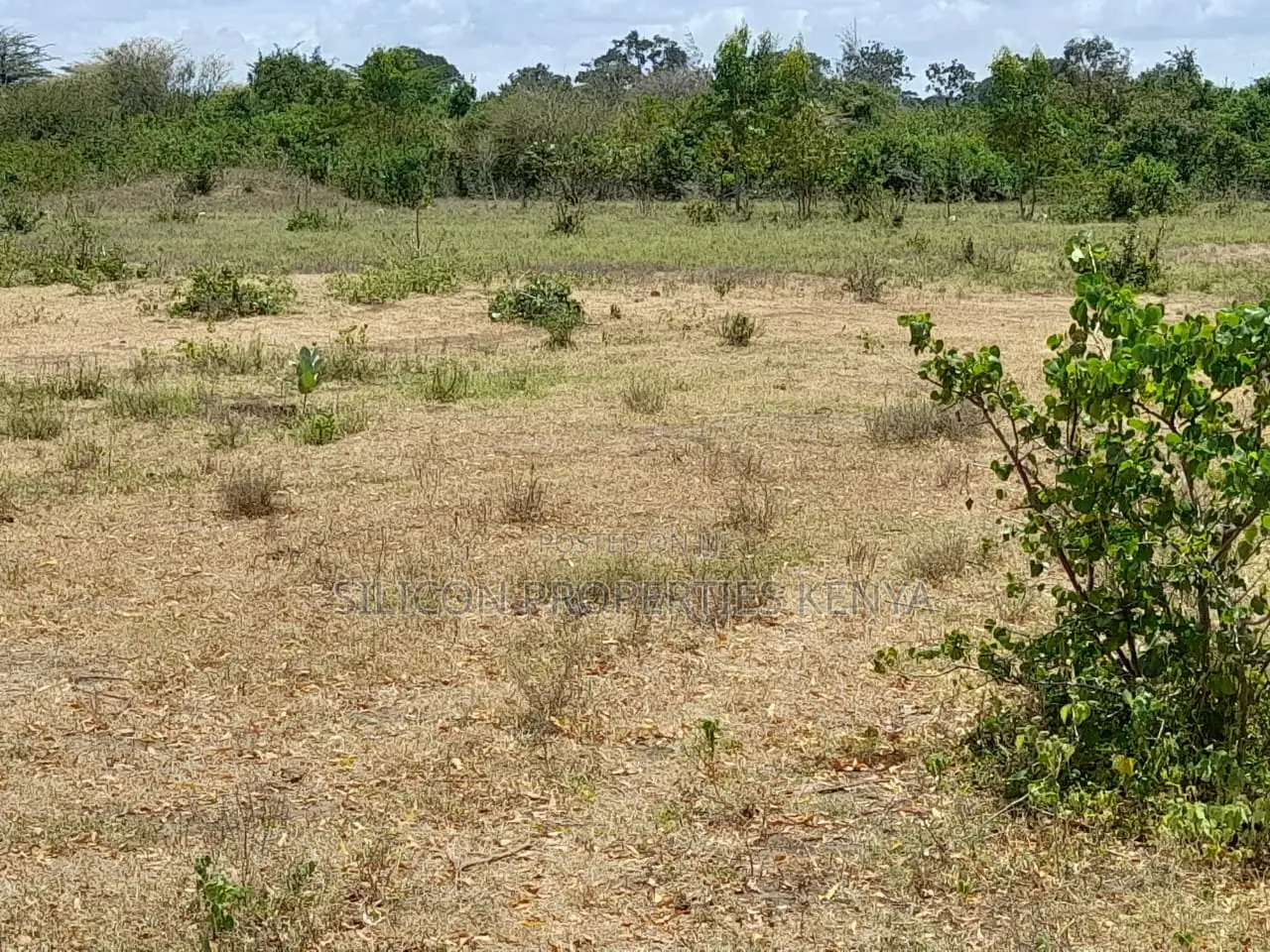 Own a Piece of Serene Land in Kidomaya, Kwale County in Ukunda