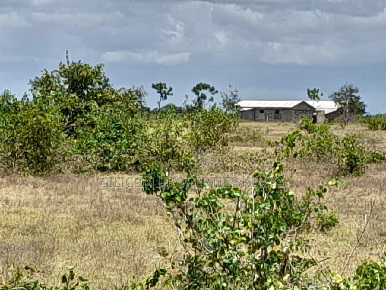 Own a Piece of Serene Land in Kidomaya, Kwale County in Ukunda