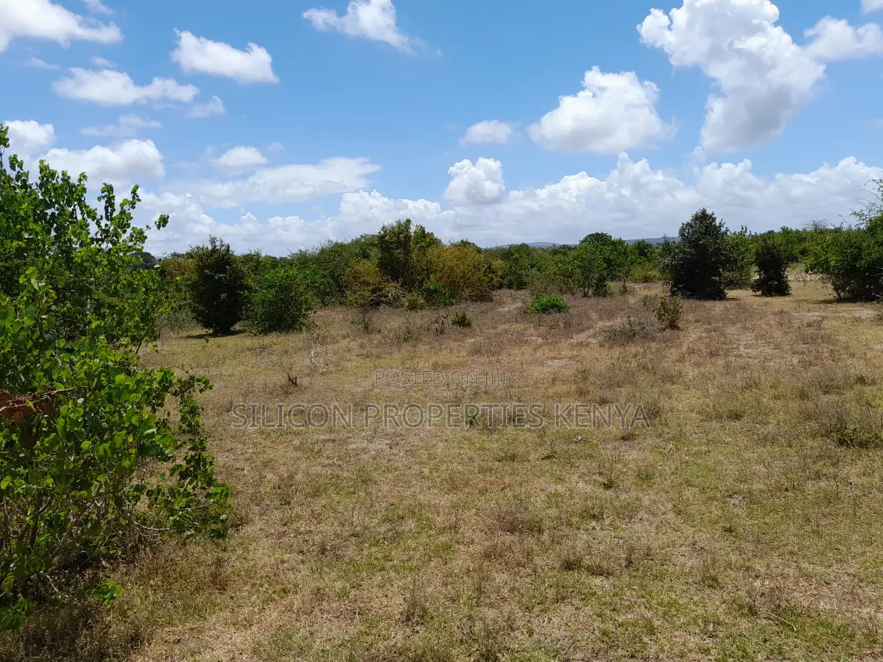 Own a Piece of Serene Land in Kidomaya, Kwale County in Ukunda