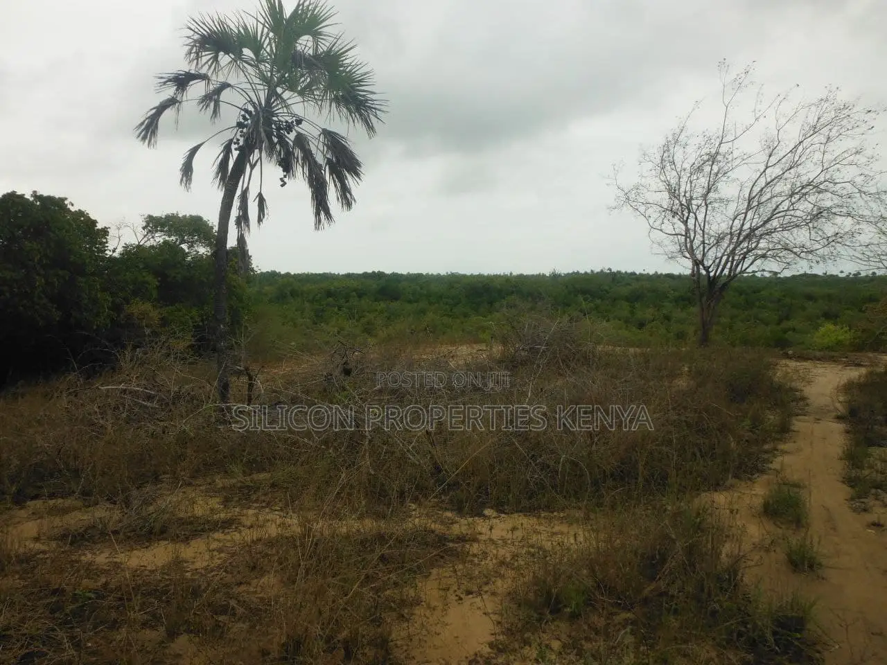 2-Acre Plot Near Ramisi Sugar Factory in Kwale County in Ramisi