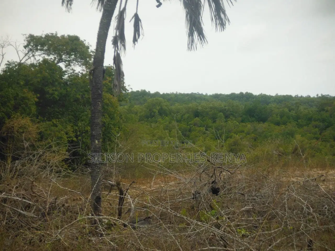 2-Acre Plot Near Ramisi Sugar Factory in Kwale County in Ramisi