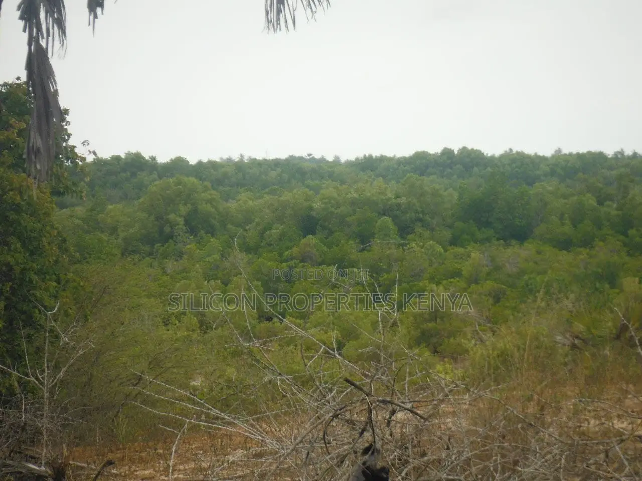 2-Acre Plot Near Ramisi Sugar Factory in Kwale County in Ramisi