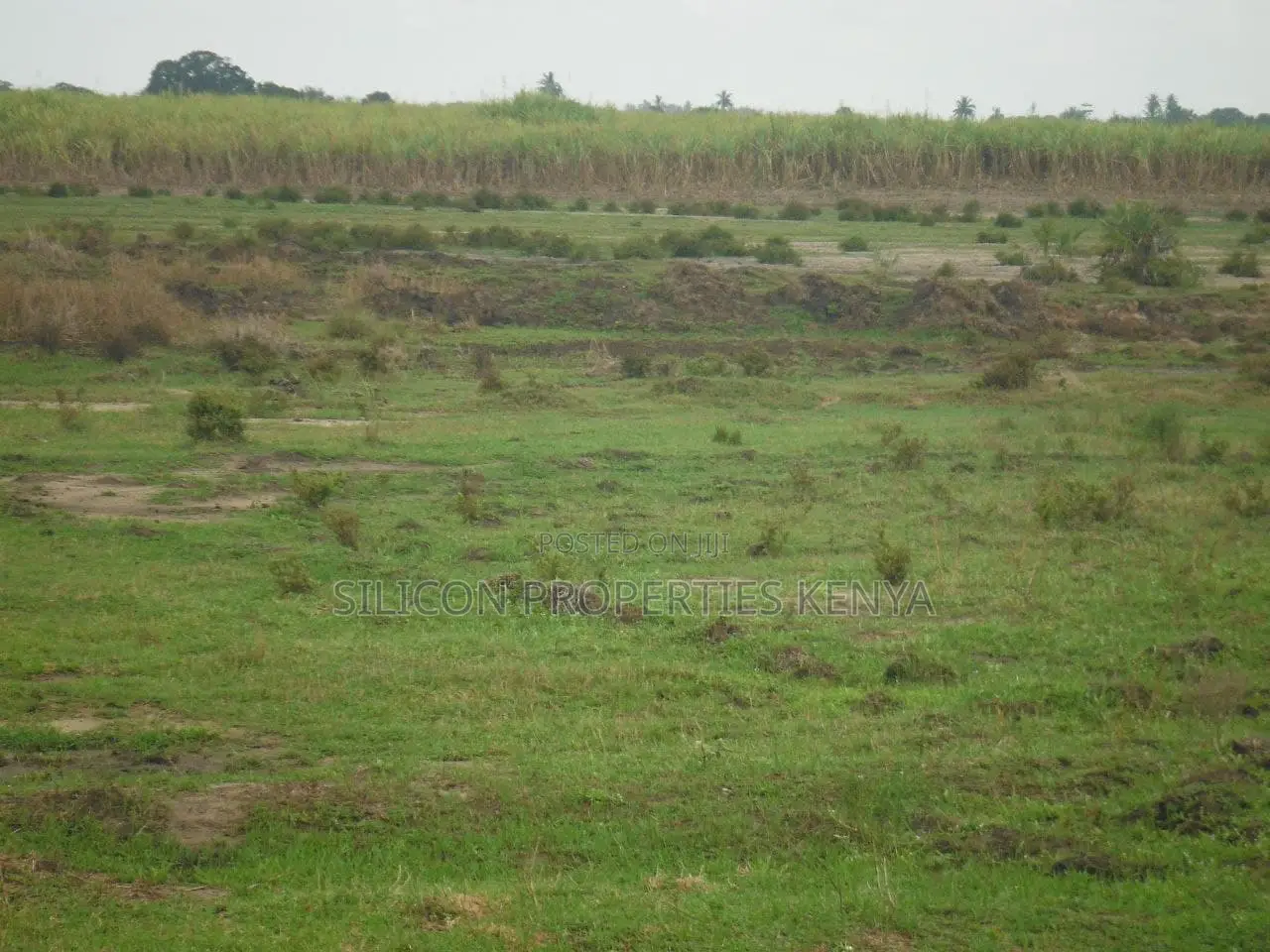 2-Acre Plot Near Ramisi Sugar Factory in Kwale County in Ramisi