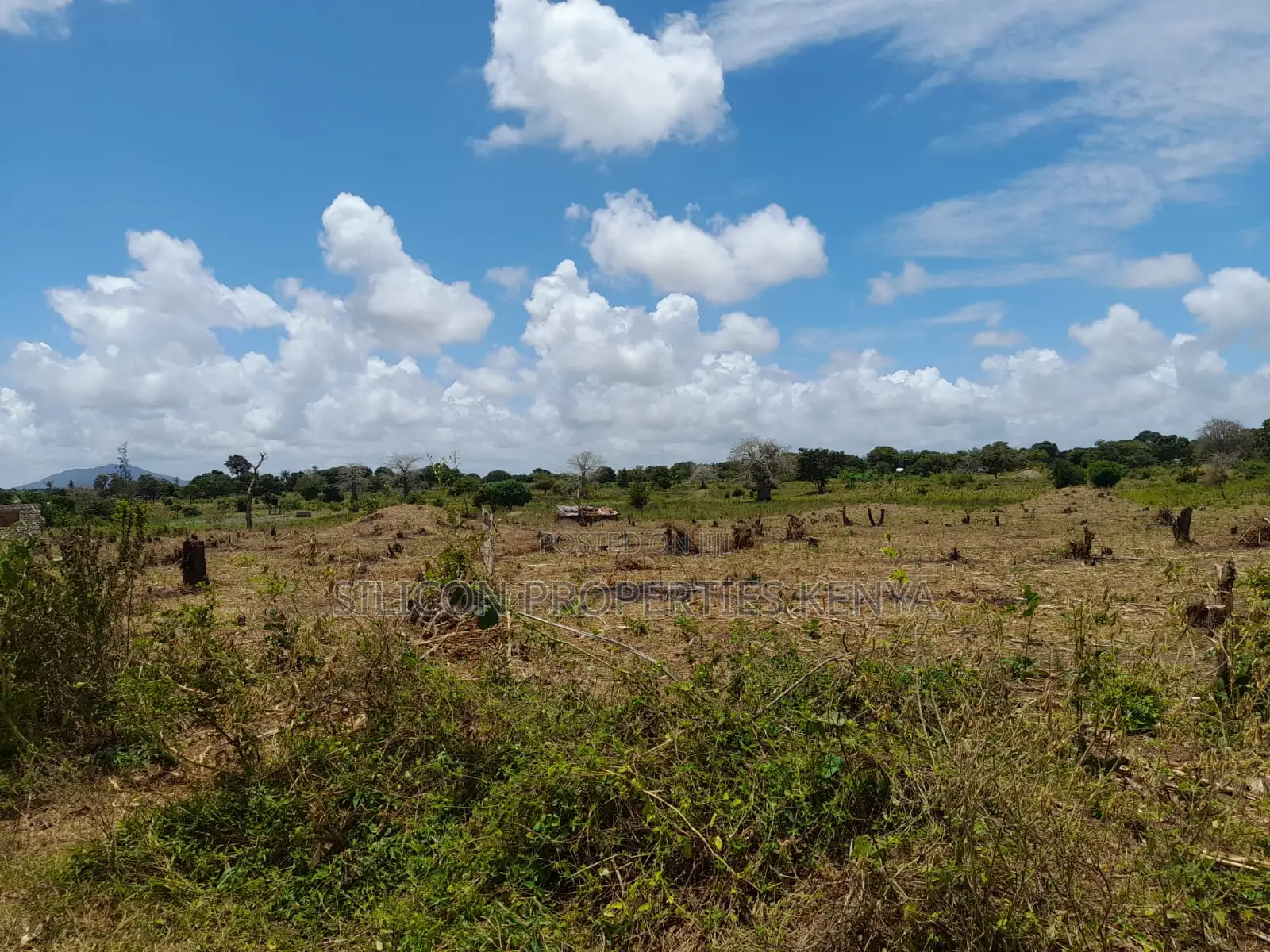 18-Acre Plot in Kidomaya, Kwale County in Ukunda