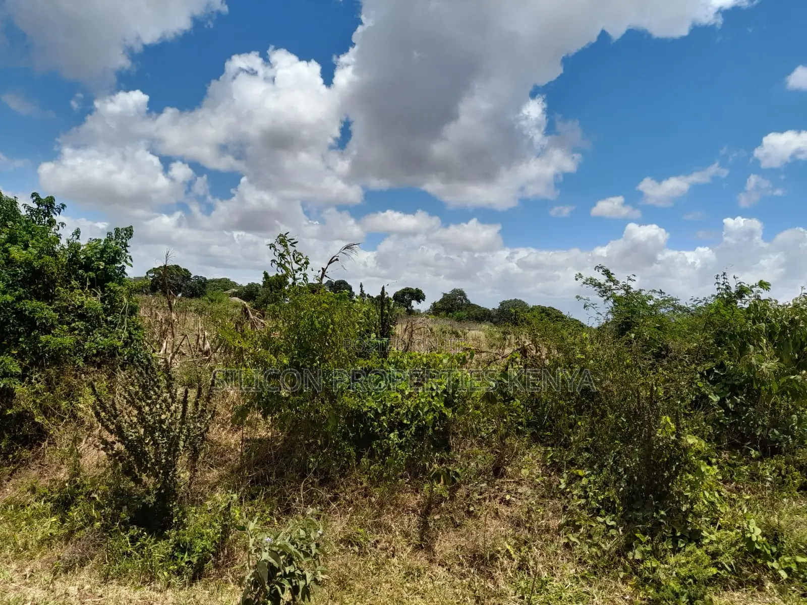 18-Acre Plot in Kidomaya, Kwale County in Ukunda